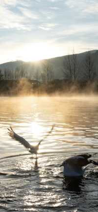 | 把山海星辰裝進房間的日與夜