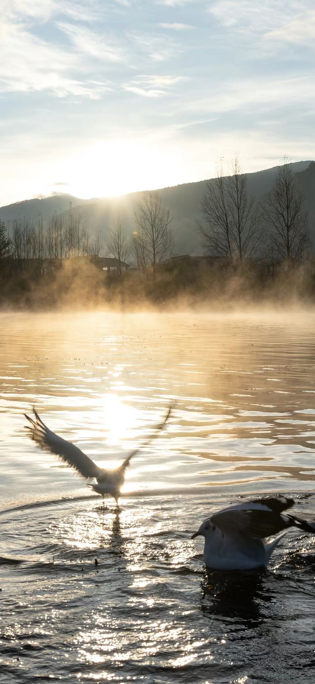 | 把山海星辰裝進房間的日與夜 | 把山海星辰裝進房間的日與夜