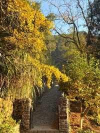 杭州周邊寶藏！紅葉指南村，秋日大片天花板
