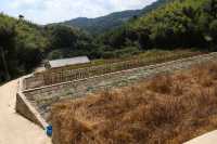 很有意思的村莊，豬頭嶺村？消失的世外桃源