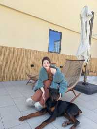 晴空下的香格里拉漫步-還有可以騎