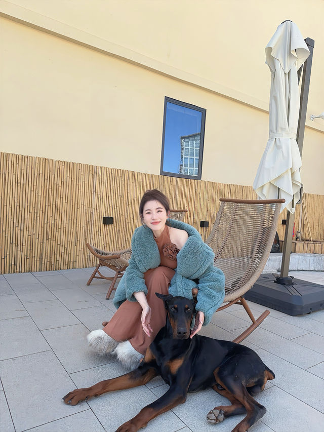 晴空下的香格里拉漫步-還有可以騎