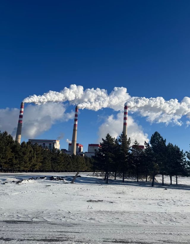 呼倫貝爾秋日漫遊指南:邂逅北國祕境的金色童話 呼倫貝爾秋日漫遊指南:邂逅北國祕境的金色童話