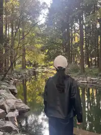 上海植物園！藏在市區的森林秘境