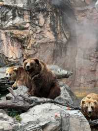 2025長隆海洋公園攻略|1日親子遛娃+必刷項目全指南