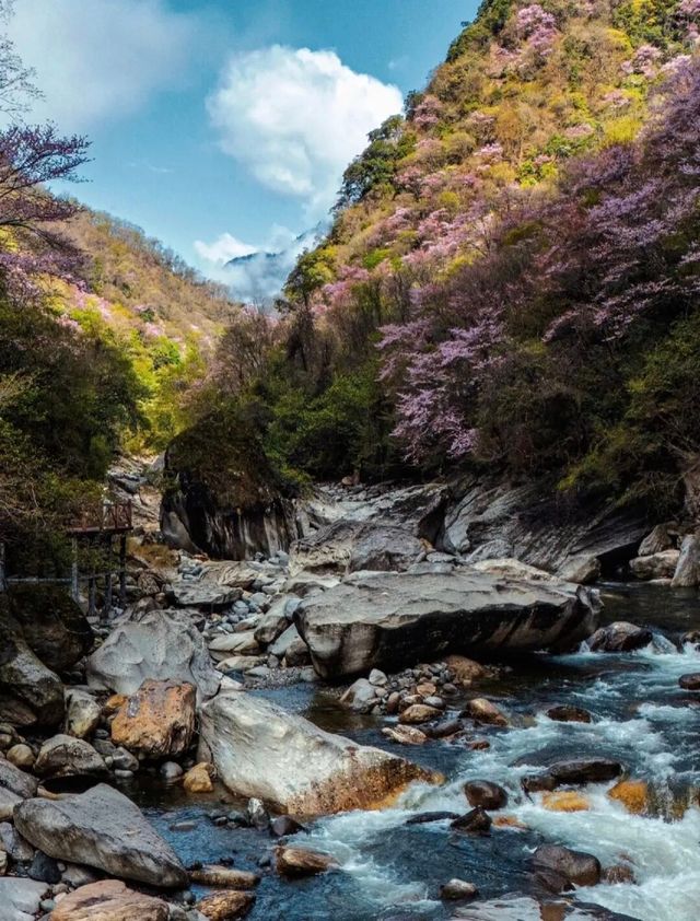 【唐家河秘境】小眾旅行玩法攻略！