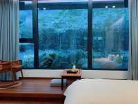 The here|藏著寵物友善的森系烏托邦