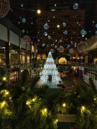 NBA聖誕大戰+美西冬黃石13天