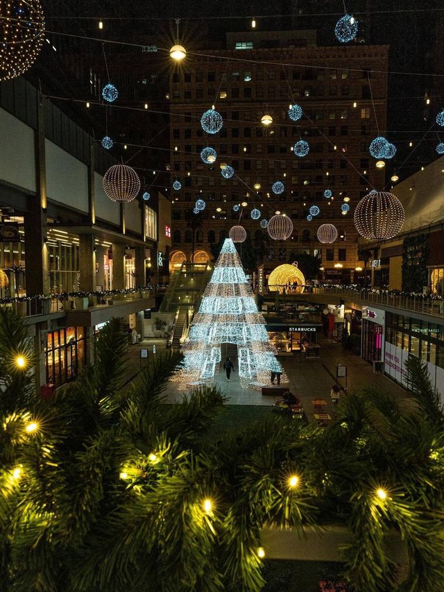 NBA聖誕大戰+美西冬黃石13天