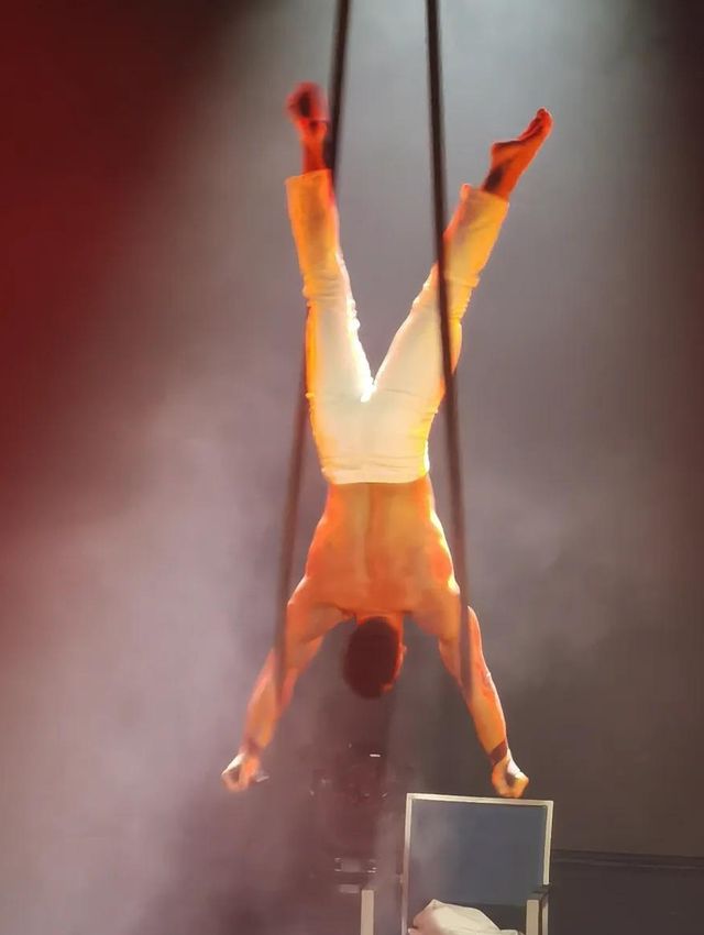 親測海洋光譜號實用攻略，記得收藏～