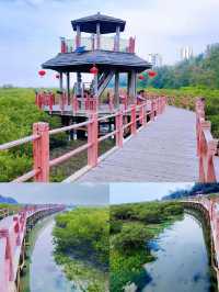 被國家地理點名!惠州大亞灣的“翡翠綠心”有多絕?