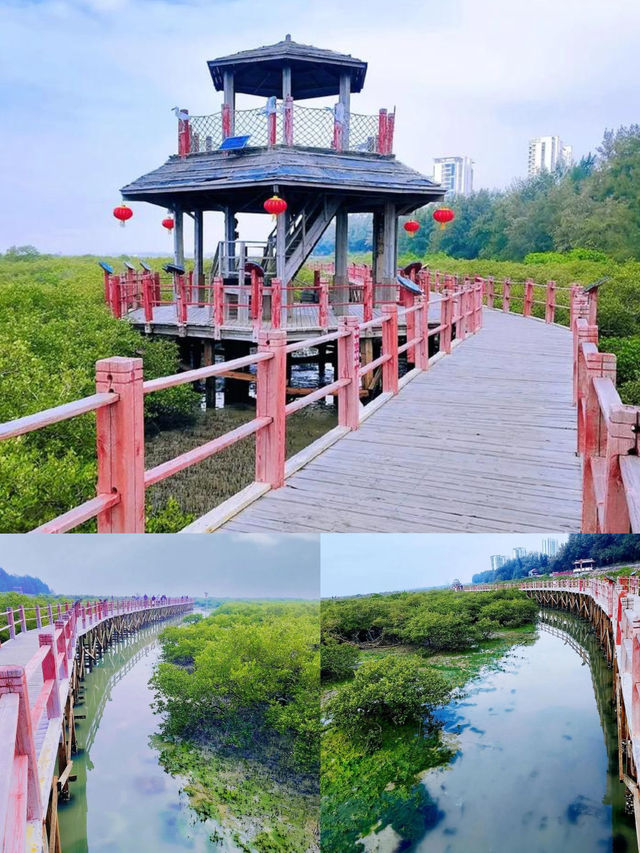 被國家地理點名!惠州大亞灣的“翡翠綠心”有多絕? 被國家地理點名!惠州大亞灣的“翡翠綠心”有多絕?