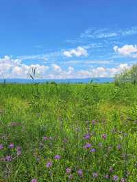 秋天去涼山-麗江這份攻略讓我美到不想走