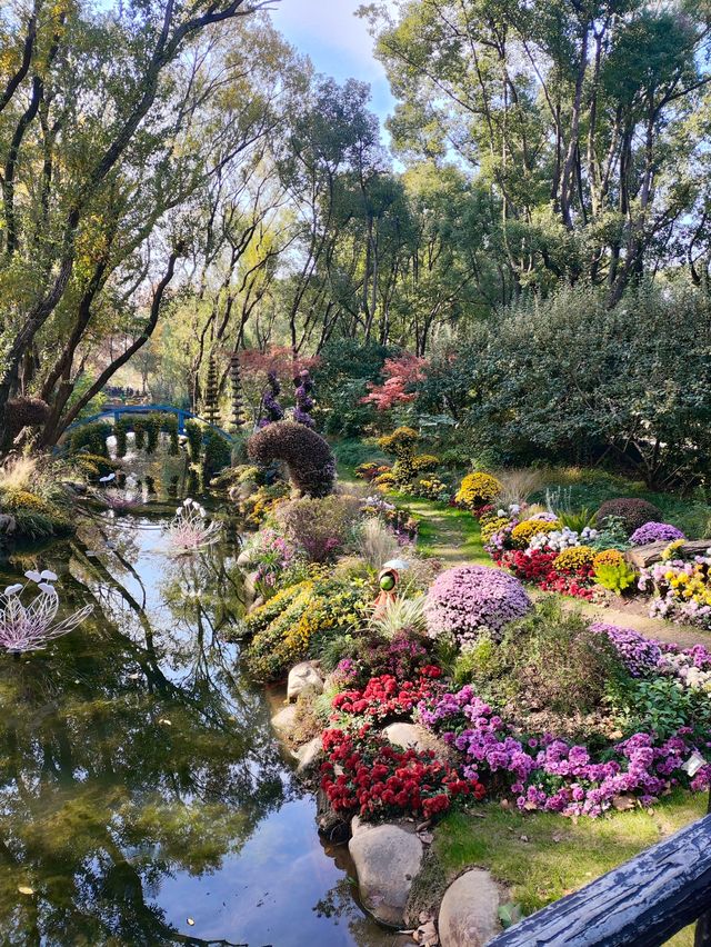 上海共青森林公園|秋日限定浪漫被我發現了 上海共青森林公園|秋日限定浪漫被我發現了