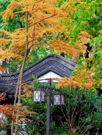 隱秘在魔都的秋日秘境！古漪園賞秋yyds