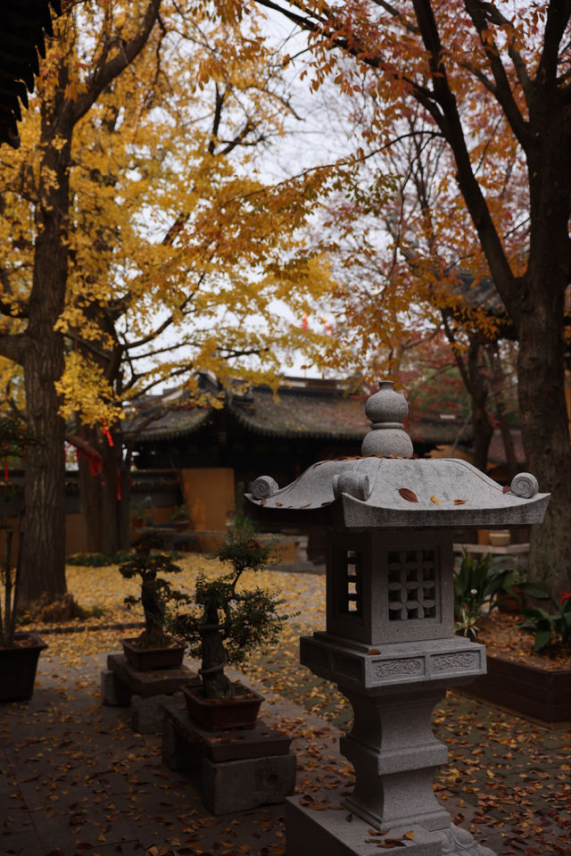 常熟小眾秘境！小雲棲寺的冬天真的美哭了！