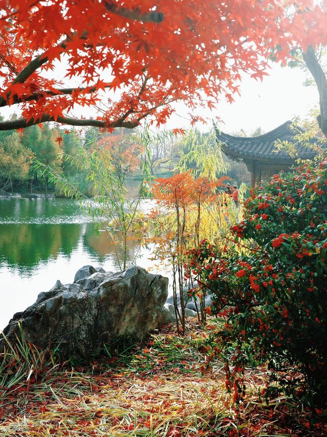 上海世博文化公園裡隱藏的寶藏園林!申園也太仙了叭~ 上海世博文化公園裡隱藏的寶藏園林!申園也太仙了叭~