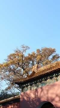 冬天北京4日遊攻略懶人必看