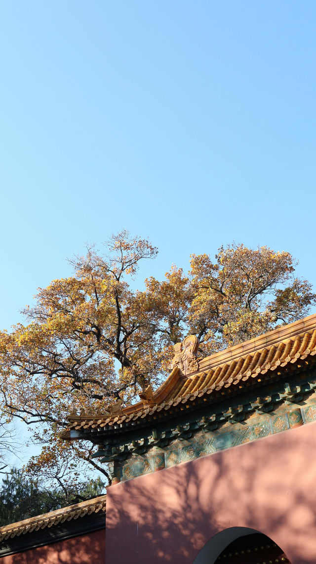 冬天北京4日遊攻略懶人必看