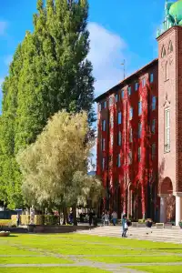 芬蘭的海｜藏在極光下的童話鬆弛感