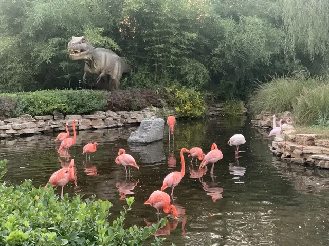 北京大興野生動物園-值得N刷