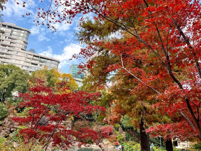 上海小京都這片楓葉階梯美到窒息!人少速來! 上海小京都這片楓葉階梯美到窒息!人少速來!