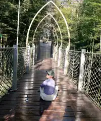 莫干山蔣公道秋日徒步