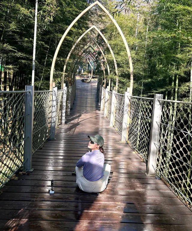 莫干山蔣公道秋日徒步 莫干山蔣公道秋日徒步