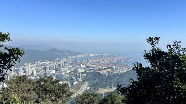 偶遇梧桐日落 偶遇梧桐日落