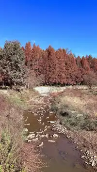 塔川宏村盧村奇墅湖秋景一日攻略