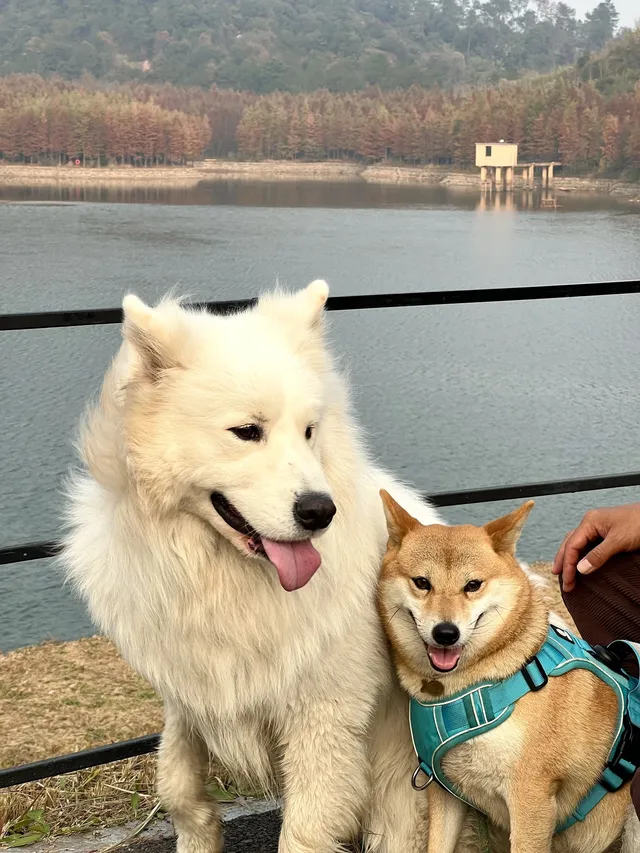 12.1實況live紹興鳳凰山美翻了!!!!!! 12.1實況live紹興鳳凰山美翻了!!!!!!