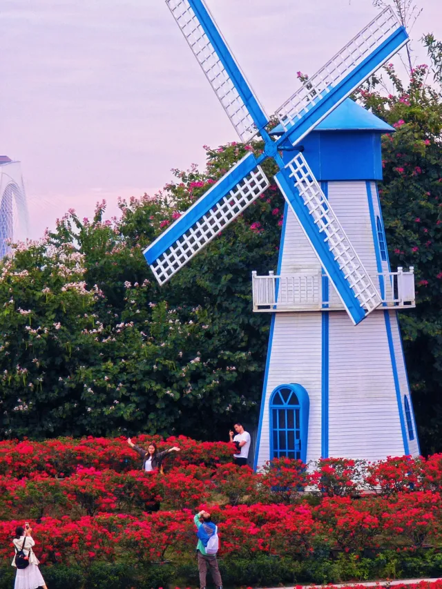 青秀山最近超火的,不愧是5A景區殺瘋了 青秀山最近超火的,不愧是5A景區殺瘋了