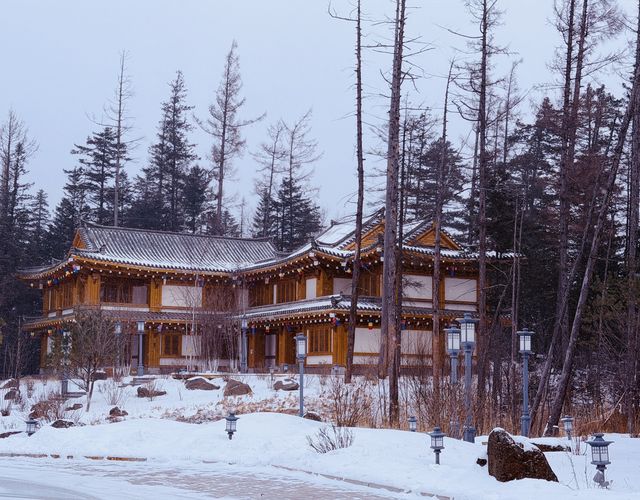 滿分推薦！郭師傅帶我們圓滿玩盡東北四地，幸福感爆棚！
今次由上海出發，抵達長白山後展開嘅