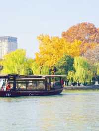 嘉興南湖賞楓指南！紅透半邊天的秋日浪漫