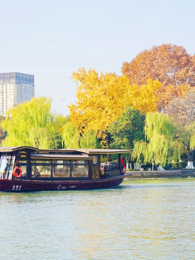 嘉興南湖賞楓指南！紅透半邊天的秋日浪漫