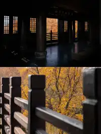 去逍遙津務必上逍遙閣中式秋景太絕了