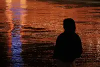 鸚鵡洲長江大橋