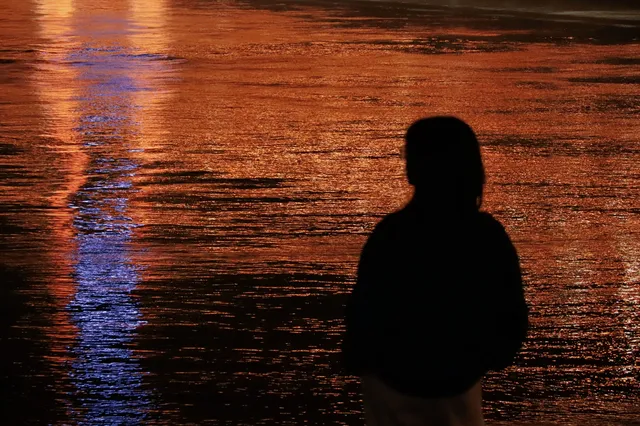 鸚鵡洲長江大橋