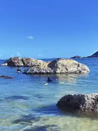 12月1日起,深圳又一「玻璃海」正式免費開放