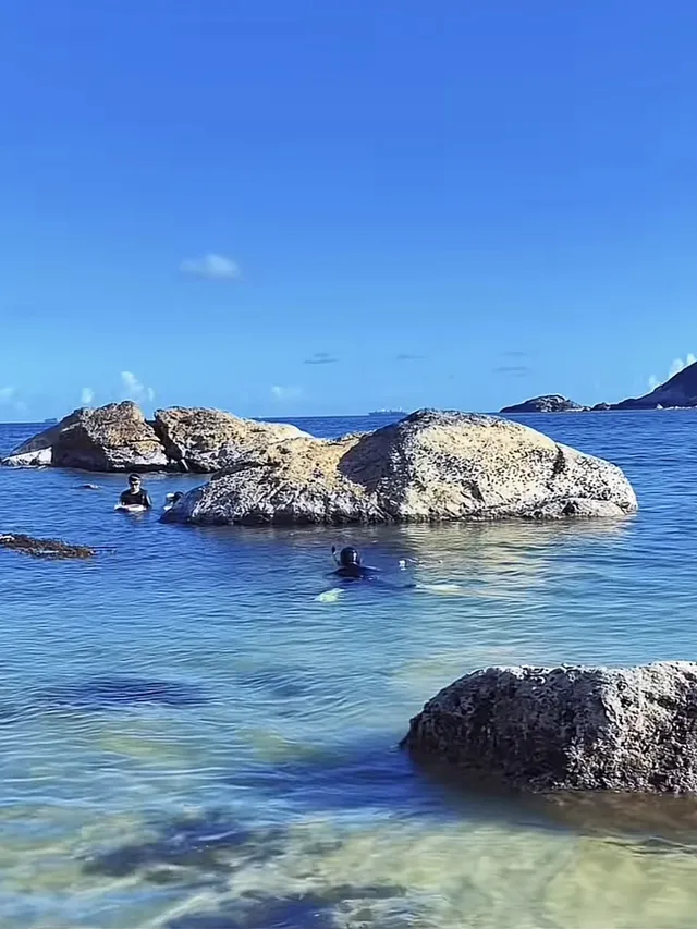 12月1日起,深圳又一「玻璃海」正式免費開放 12月1日起,深圳又一「玻璃海」正式免費開放