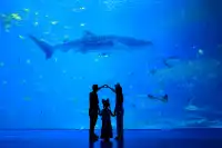 珠海長隆199跟拍｜性價比封神！