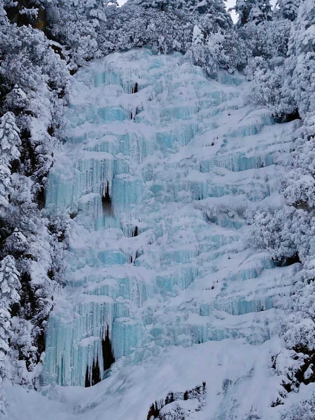 海螺溝3日奇幻之旅:赴一場日照金山的仙境之約 海螺溝3日奇幻之旅:赴一場日照金山的仙境之約