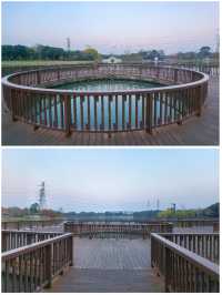 沔青園記 | 一脈水鄉印古今