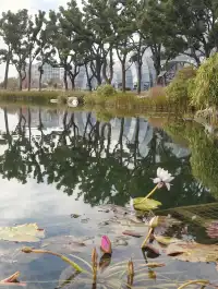 上海植物園一日遊