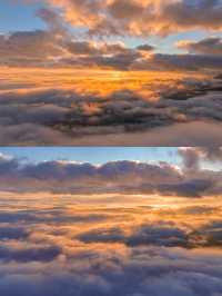 剛從哀牢山回來!看這篇就夠了