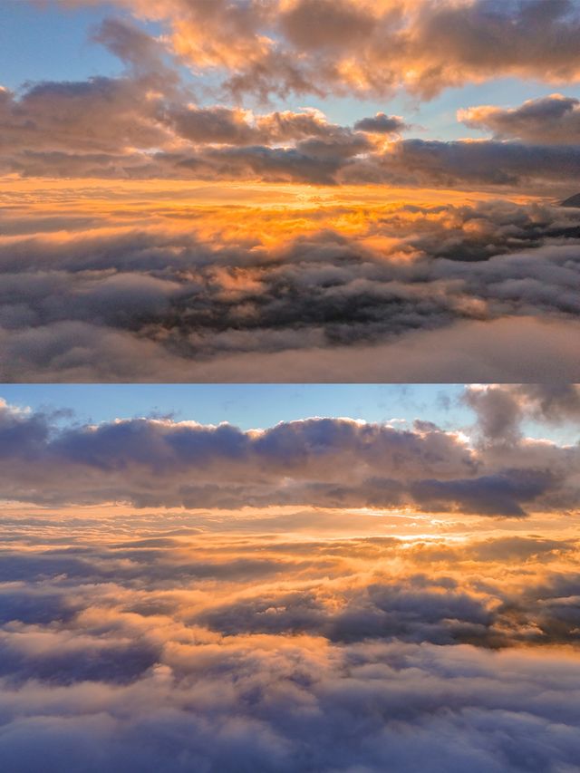 剛從哀牢山回來!看這篇就夠了 剛從哀牢山回來!看這篇就夠了
