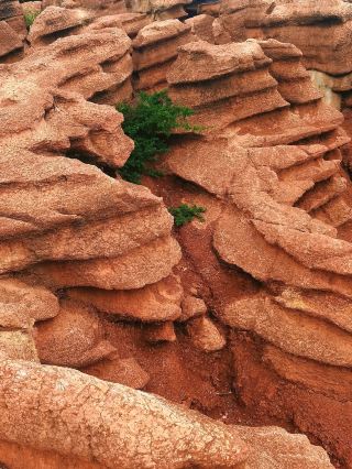 5億年の赤い秘境、湘西紅石林を越えて：色が変わるカンブリア紀の奇観