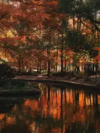 12.6共青森林公園橙黃橘綠時(附路線)