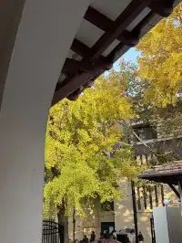 武康路聖誕CityWalk出片逛吃，不走回頭路