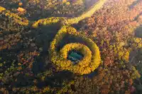 該怎麼向你描述南京的秋天呢